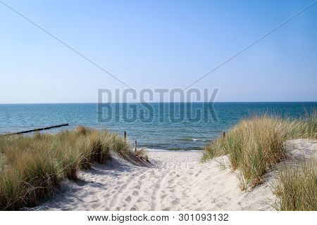 View Of The Dunes And Beach On The Baltic Sea