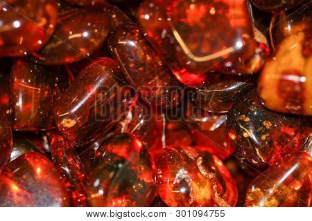Amber Stone. Authentic Baltic Amber Can Have Prehistoric Fossil Insect Insite.