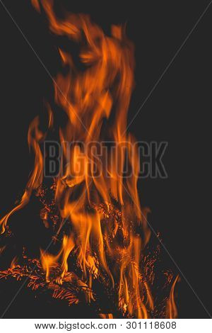 Dark Background Bonfire From Branches In The Fireplace . Flame And Sparks.