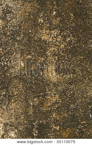 Cement textuur