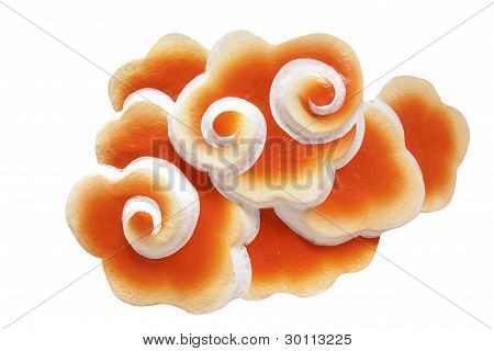 Oranje Cloud