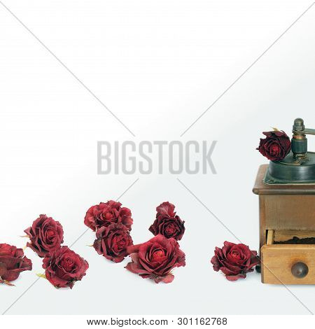 Manual Coffee Grinder With Roses On A White Background. Antiquary
