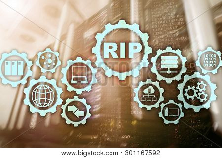 Rip Routing Information Protocol. Technology Networks Cocept.