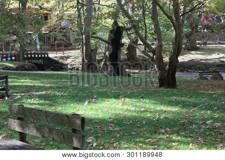 Agios Nikolaos Park Naousa Greece Europe