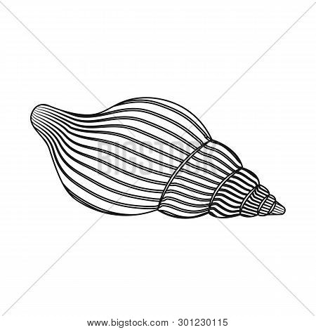 Vector Design Of Exotic And Seafood  Symbol. Set Of Exotic And Aquatic Vector Icon For Stock.
