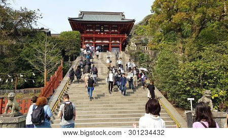 Kamakura, Japan - 19 April, 2019: People Walking In The Tsurugaoka Hachimangu. The Temple Is The Mos