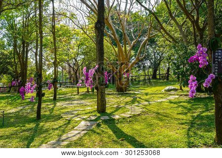 Tainan, Taiwan - April 13, 2019 : Sicao Dazhong Temple. Tainan Sicao Green Tunnel Ecological Park.