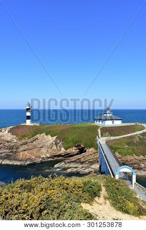 Island With Two Lighthouses, Cliff And Violet Flowers. Sunny Day, Isla Pancha, Ribadeo, Spain.