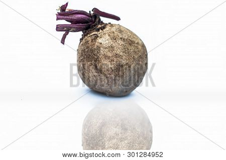 Raw Organic Beetroot Or The Table Beet, Garden Beet, Red Beet, Or Golden Beet Isolated On White Alon