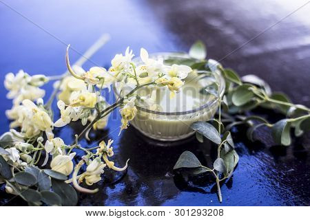 Ayurvedic Herb Drumstick Flowers Along With Some Leaves On Wooden Surface Along With Its Paste In A 