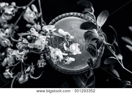 Ayurvedic Herb Drumstick Flowers Along With Some Leaves On Wooden Surface Along With Its Paste In A 