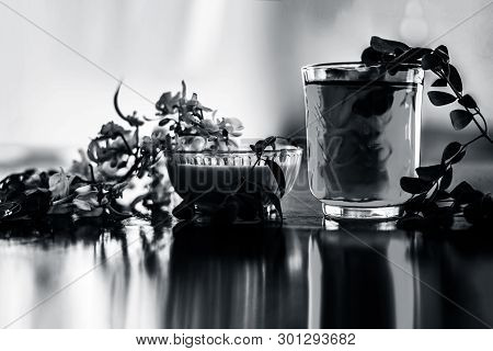 Bunch Of Flowers Of Drumstick On Wooden Surface Along With Its Extracted Water Or Tincture In A Glas