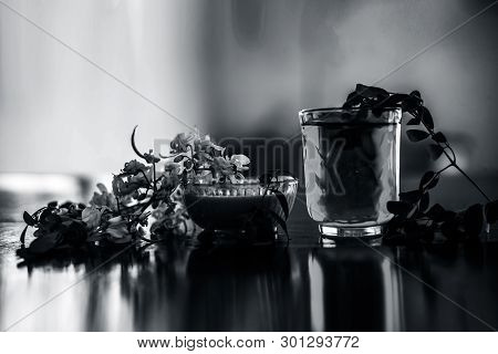 Bunch Of Flowers Of Drumstick On Wooden Surface Along With Its Extracted Water Or Tincture In A Glas