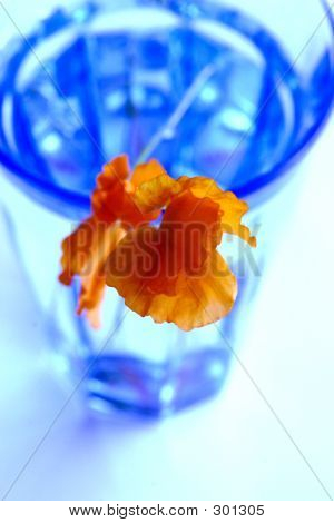 Acqua blu