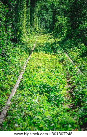 a railway in the spring forest tunnel of love