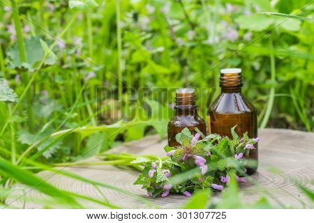 Two Pharmaceutical Bottle Of Medicine From Thymus Vulgaris, Common Thyme, German, Garden Or Just Thy