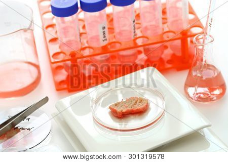 cultured meat image, lab grown meat concept