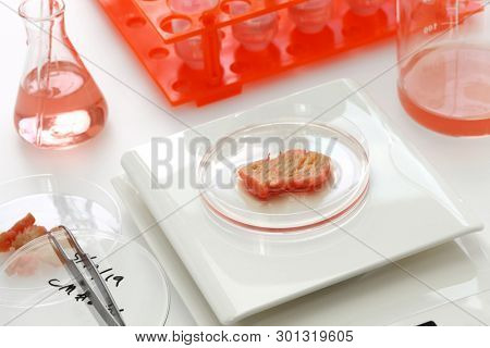 cultured meat making image, lab grown meat concept