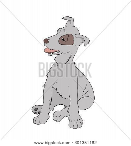 Vector Illiteration Dog Sitting Color Pattern, Vector, White Background