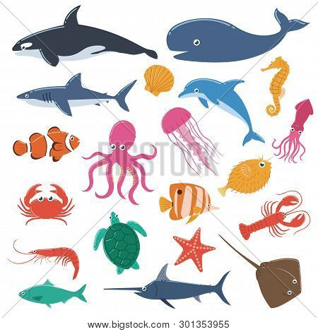 Sea Animals Collection. Underwater Animal Creatures And Fish In The Sea