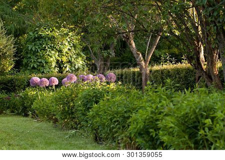 Summer Sunny Well-kept Park With Flowers And Trees