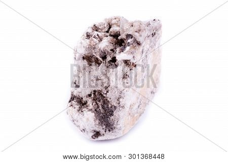 Macro Mineral Phlogopite Stone On A White Background