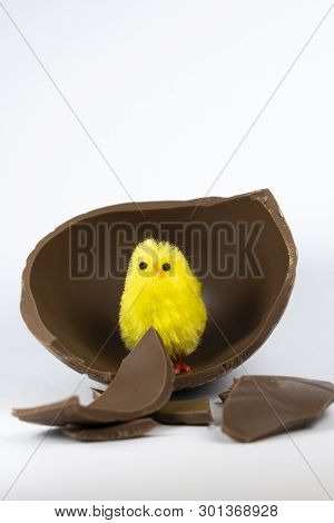 Easter Chick