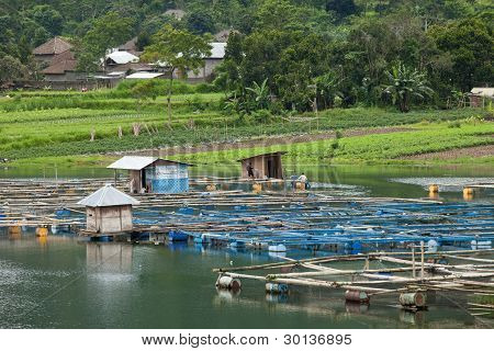 Lake Batur
