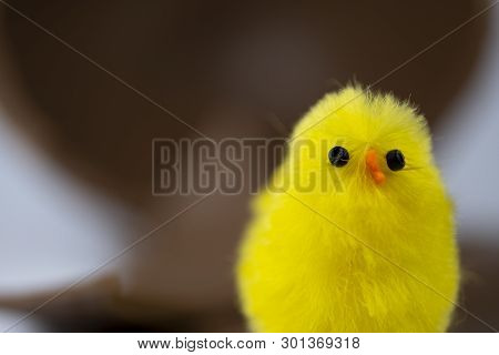 Easter Chick