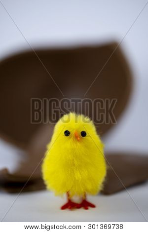 Easter Chick