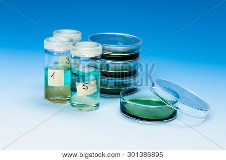 Histologica Samples Of Cells And Tissue On Blue Gradient Background