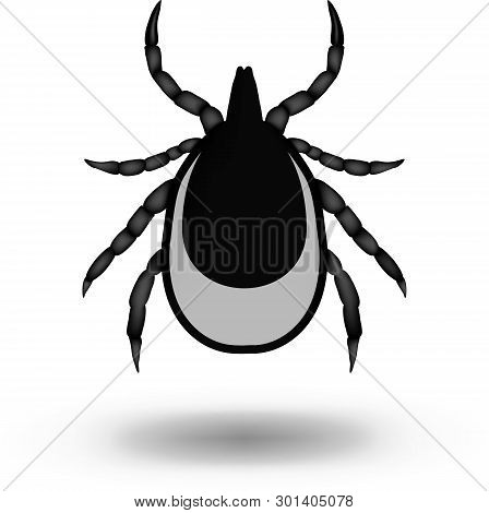 Sign Image Of A Tick - On White Background