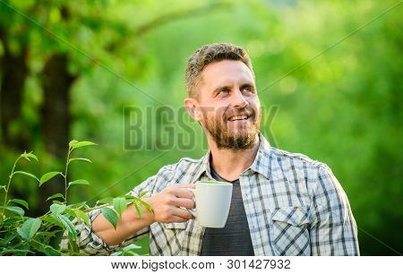 Green Tea Contains Bioactive Compounds That Improve Health. Whole Leaf Tea. Natural Drink. Healthy L