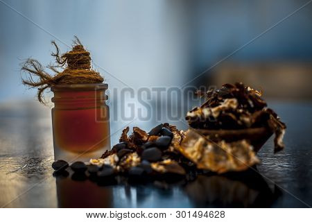 Raw Organic Amli Or Tamarind Or Imli In A Clay Bowl On Wooden Surface With Its Extracted Herbal Esse