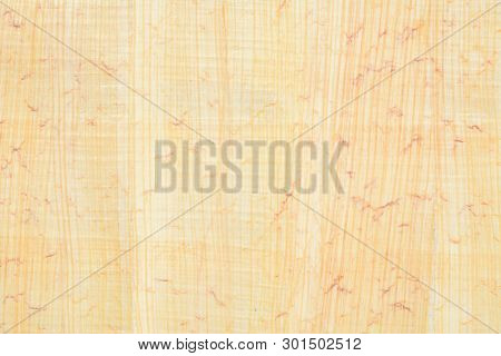 Real Egypt Papyrus Paper Background And Texture Number 20. Close Up Macro.