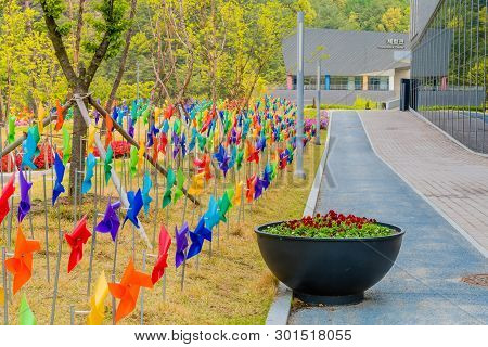 Muju,south Korea; May 1, 2019: Rows Of Colorful Pinwheels In Lawn In Front Of National Taekwondo Mus