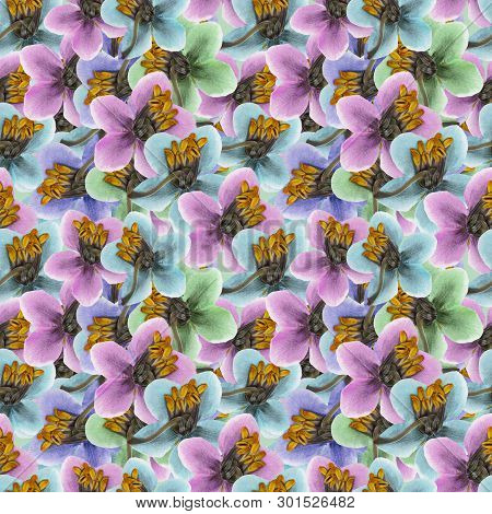 Pyrola. Texture Of Flowers. Seamless Pattern For Continuous Replicate. Floral Background, Photo Coll
