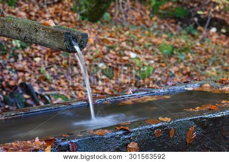 Mountain Spring Of Pure, Clear, Fresh Water With Water Trough In The Forest. Natural Resources, Wate