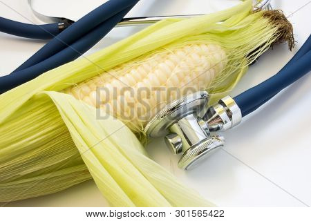 Corn Cob And Stethoscope. Stethoscope Tests Single Maize Cob For Presence Of Gmo, Diseases, Varietie