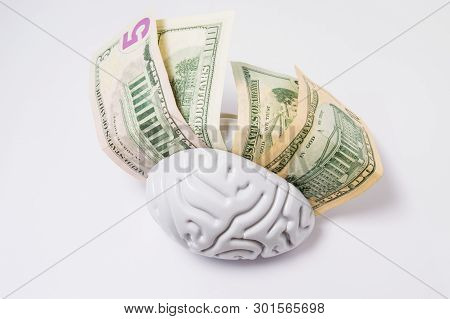 Money (dollars) Are Between The Hemispheres Of The Human Brain. Concept Photo, Symbolizing High Pay 