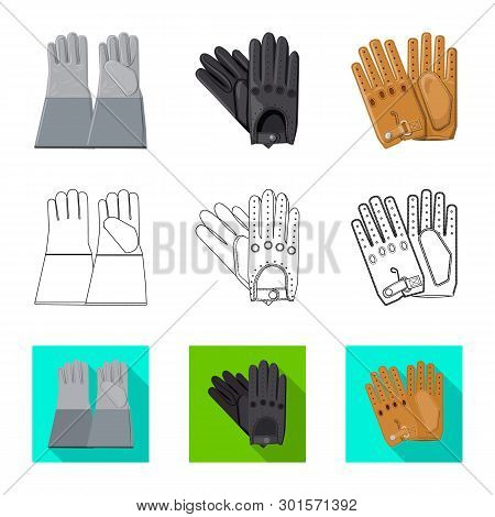 Vector Design Of Glove And Winter Logo. Collection Of Glove And Equipment Vector Icon For Stock.