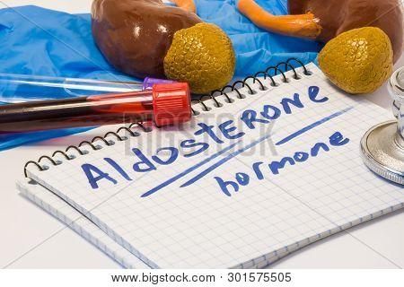 Aldosterone Mineralocorticoid Hormone Diagnostic Concept Photo. Adrenal Glands (cortex) With Kidneys