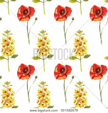 Seamless Pattern With Watercolour Hand Painted Poppies And Eremurus