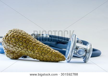 Pancreatic Gland Near Stethoscope As Symbol Of Health Of Organ, Care, Diagnostics, Medical Testing, 