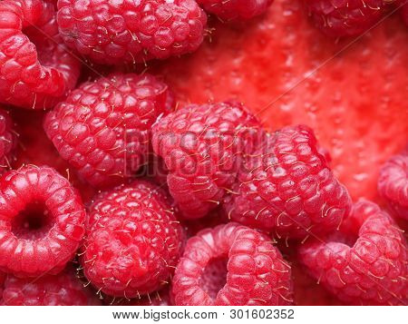 Raspberry Fruit Food