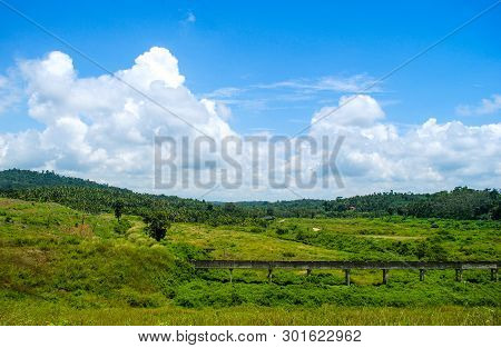 Nature Wallpaper