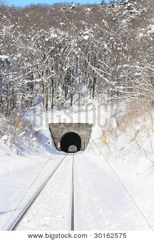 Snö fältet