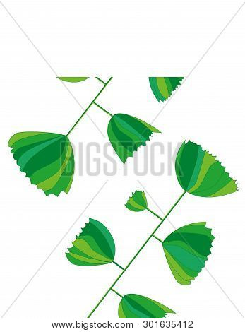 Two Branches With Green Leaves. Straight Lines. Isolated Vector
