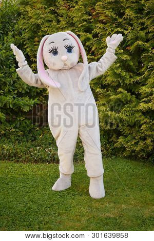 Growth Doll Of A Giant Cartoon Gray Hare In The Park On The Green Grass
