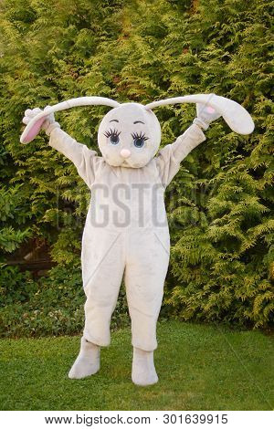 Growth Doll Of A Giant Cartoon Gray Hare In The Park On The Green Grass